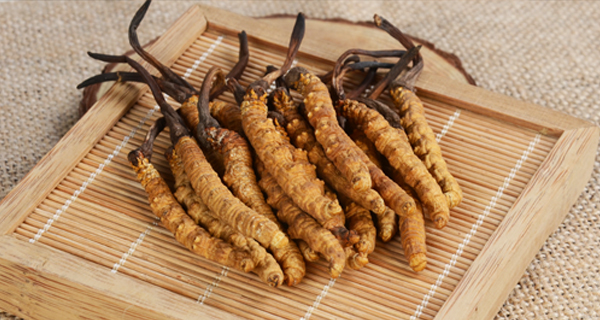 养生 | 你还在单吃冬虫夏草吗？会吃虫草的人都这样配伍！