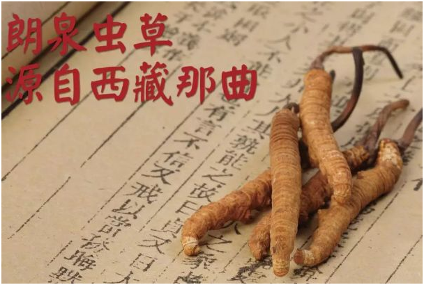 植树与养生的意义异曲同工