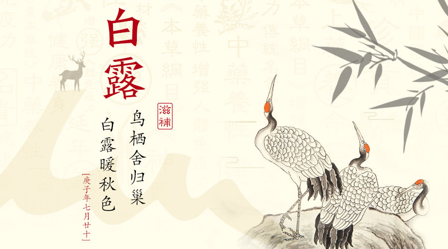 今日白露 | 秋意浓•秋燥起，宜温润滋养