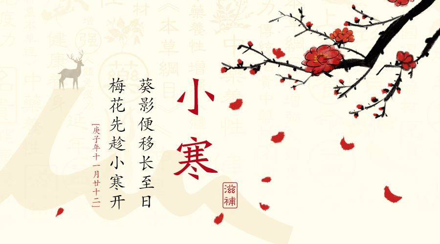 今日小寒 | 数九寒天到了，滋补福利来啦~
