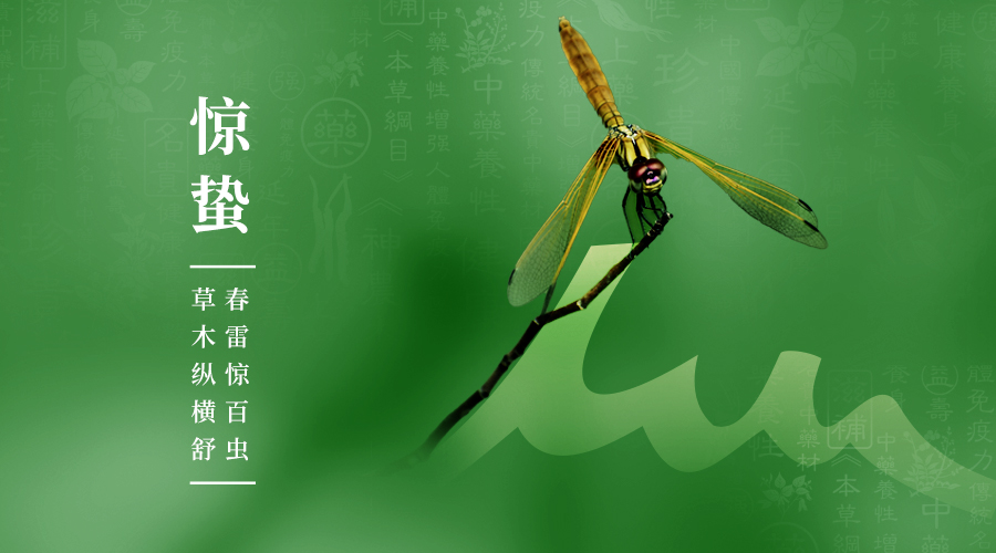 今日惊蛰 | 春雷响万物长，你的免疫抗病力有木长？