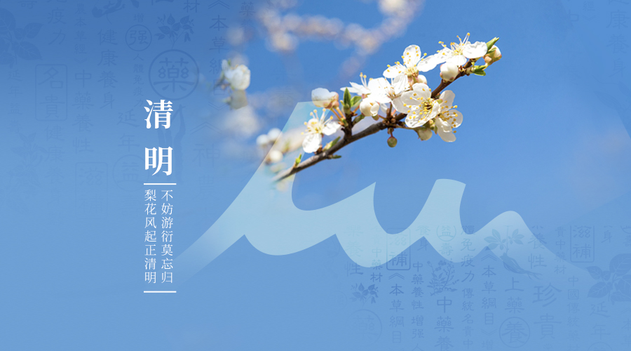 今日清明 | 春和景明，万物安康